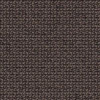 CUR61169/